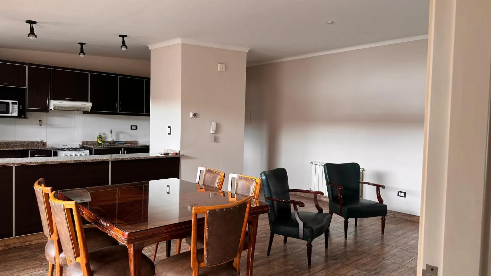 Corazon De La Quinta Apartment Mendoza Argentina
